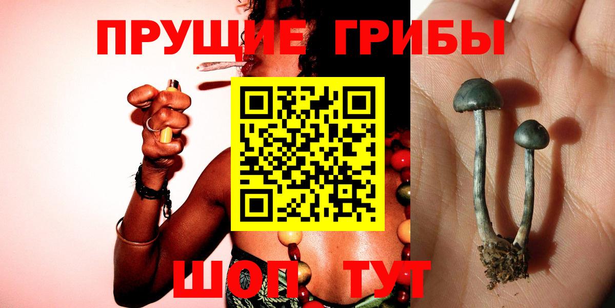 Галлюциногенные грибы мицелий  Вход с VPN  Сызрань 